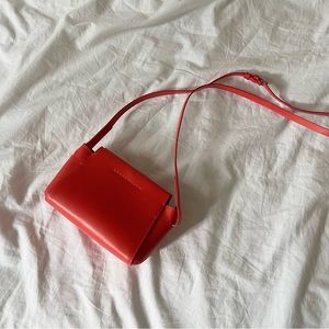 Everlane Micro Form bag
